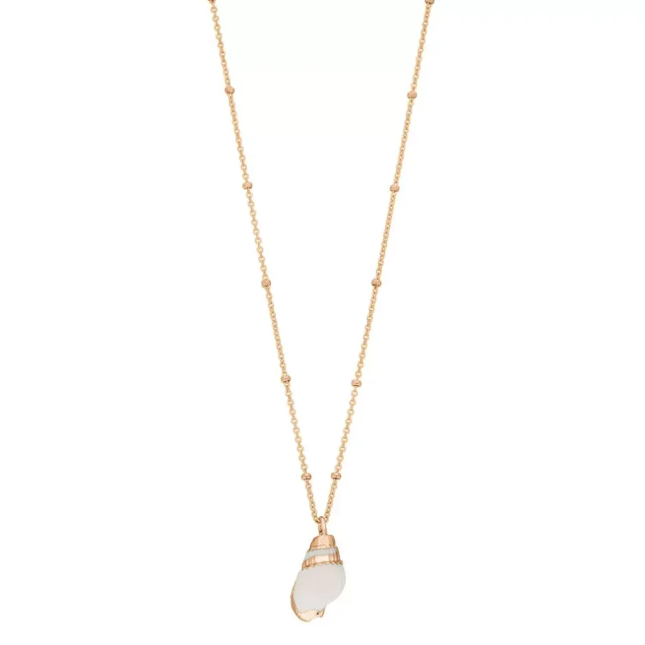 halskette_canarium_sea_sn_0.webp Halskette Canarium Sea Snail, 18 Karat Rosegold vergoldet-LEAF Discount