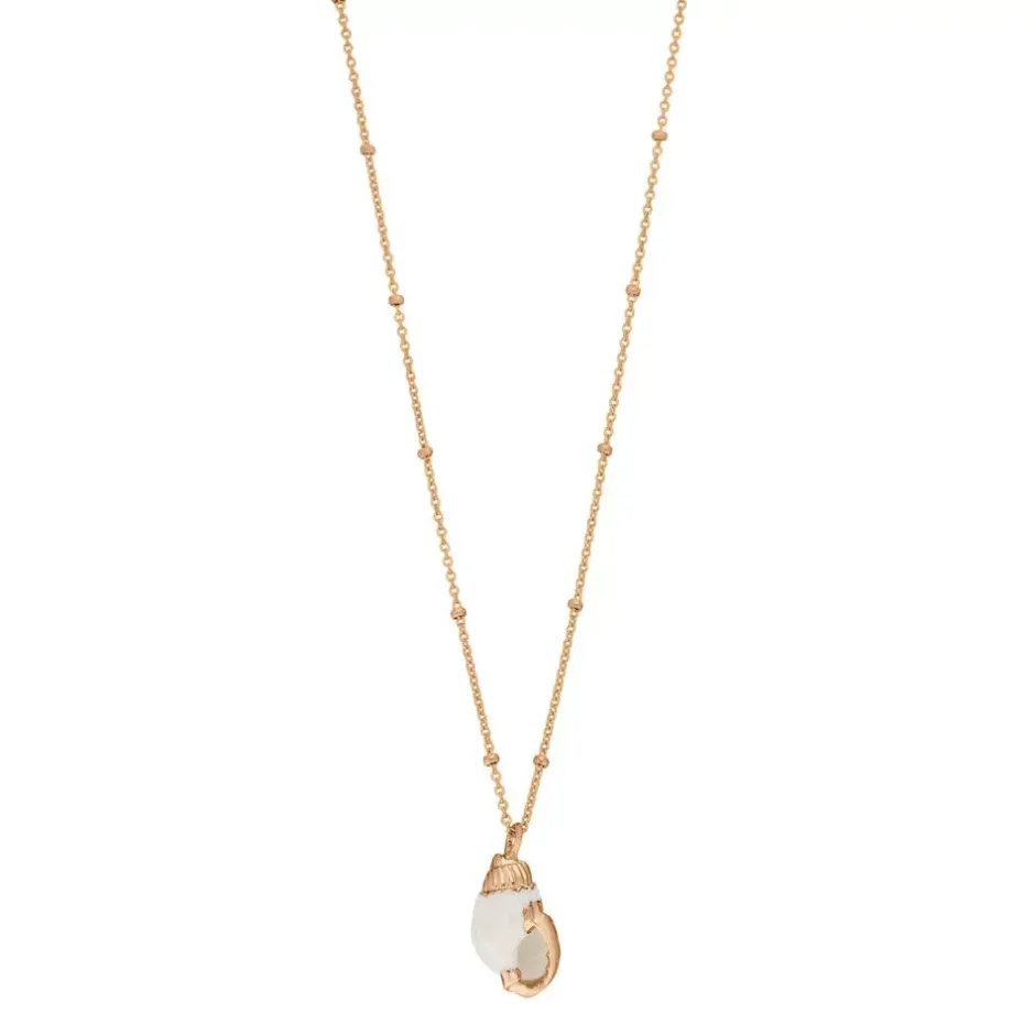halskette_canarium_sea_sn_2.webp Halskette Canarium Sea Snail, 18 Karat Rosegold vergoldet-LEAF Discount