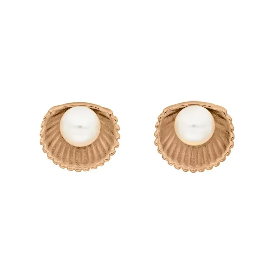 ohrstecker_muschel_mit_pe_0.webp Ohrstecker Muschel mit Perle, 18 K Rosegold vergoldet-LEAF Discount