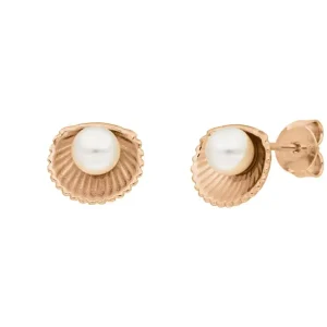 Ohrstecker Muschel mit Perle, 18 K Rosegold vergoldet-LEAF Discount