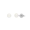 Ohrstecker Perle, 4mm, 14 Karat Weißgold-LEAF Outlet
