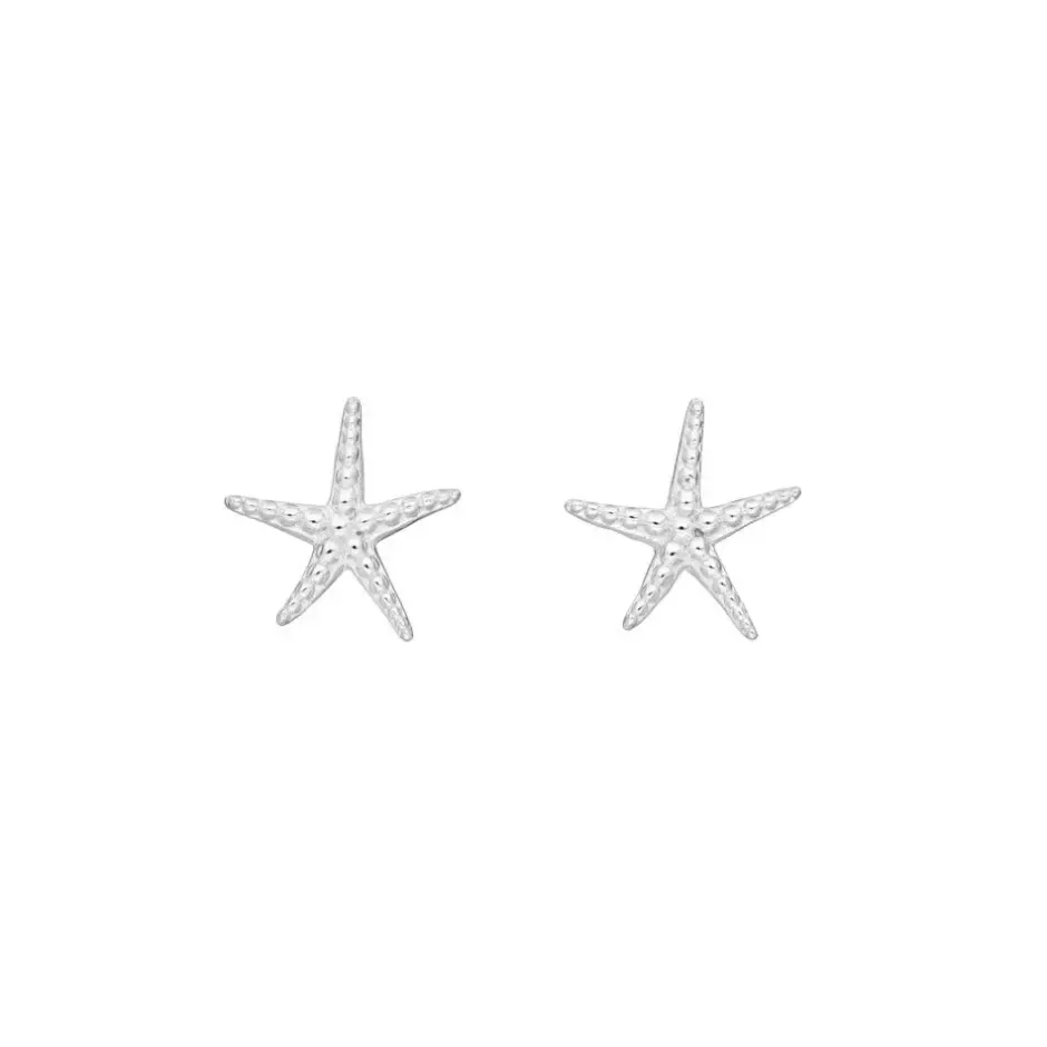 ohrstecker_seestern__ster_0.webp Ohrstecker Seestern, 925 Sterlingsilber-LEAF Outlet