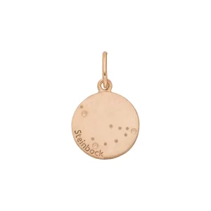 Steinbock ZODIAC SIGN, 18 Karat Rosegold vergoldet-LEAF Clearance